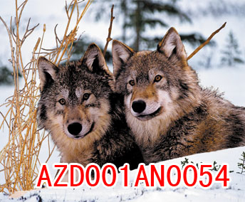 3D打印行業未來發展前景分析